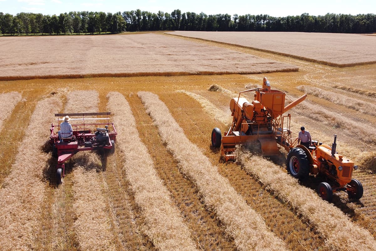 Before the Crossing: The Gullah Genesis
